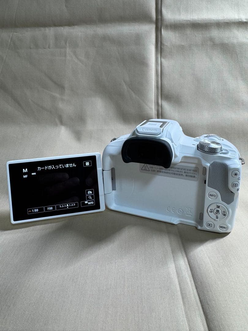 Canon EOS R50【極美品】付属品完備/予備バッテリー・プロテクター付