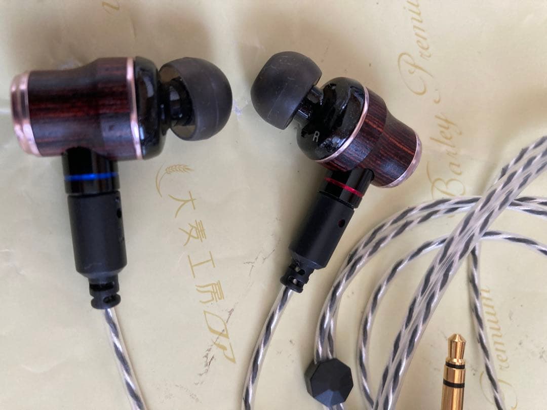 JVC HA-FW02 リケーブル可能イヤホン