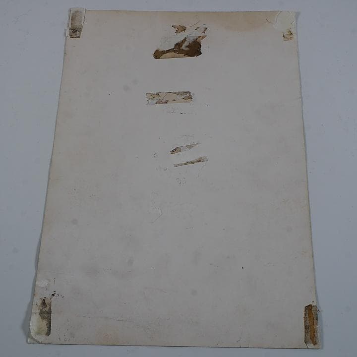 純正インスト+取扱説明書　ピストル大名の冒険　NAMCO