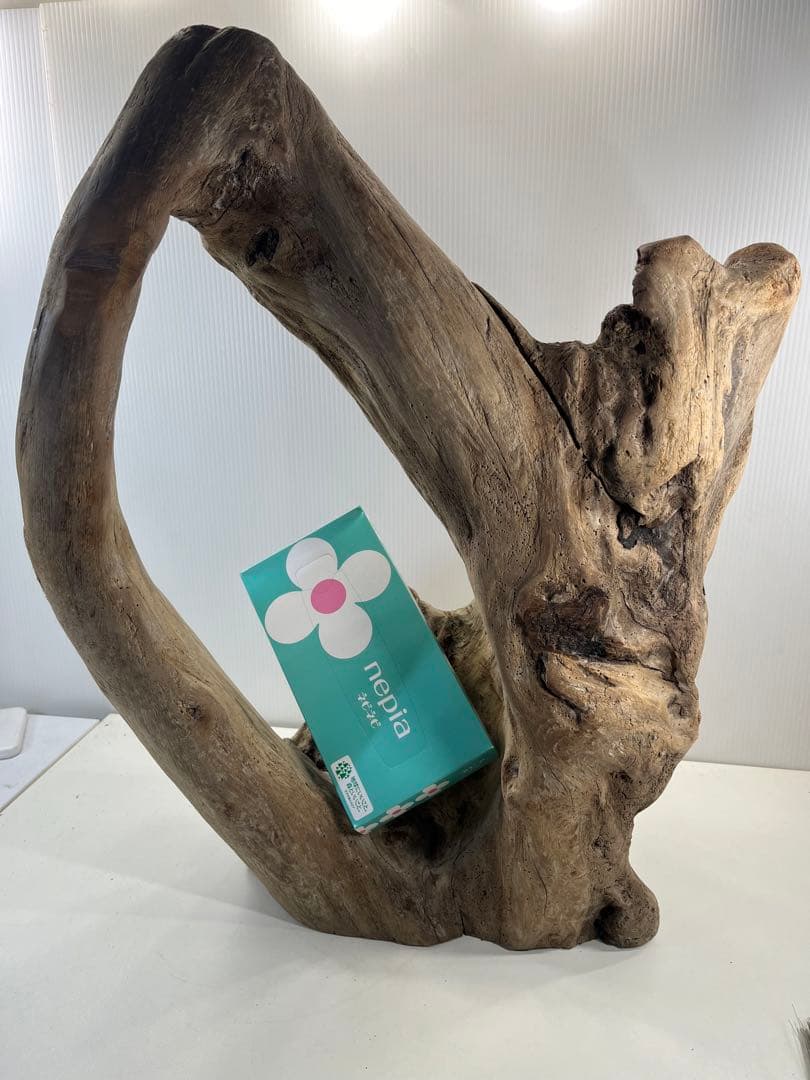 m10特大流木 アク抜き済み 爬虫類シェルター 登り木 インテリア オブジェ