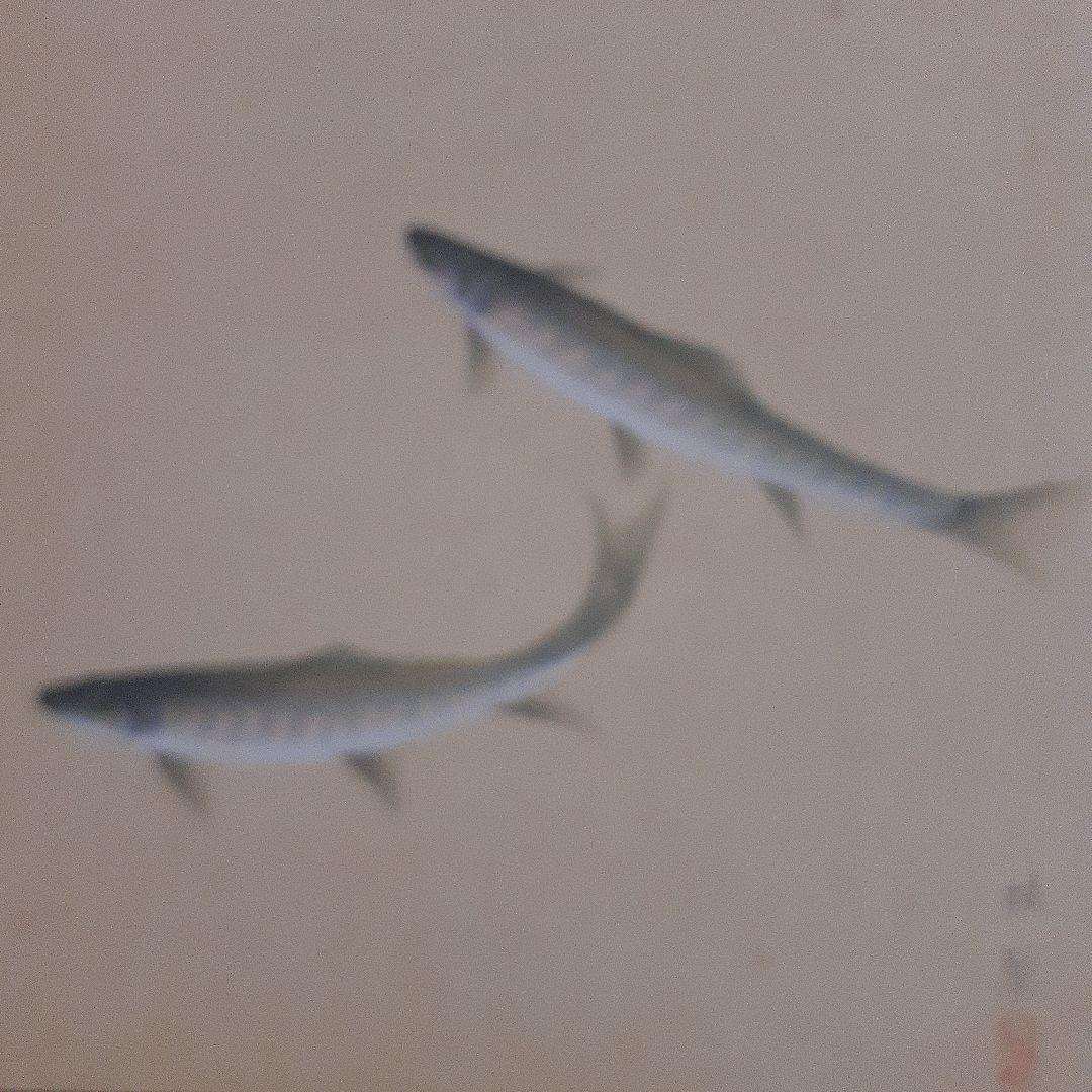 日本画家金島桂華の山女の双魚