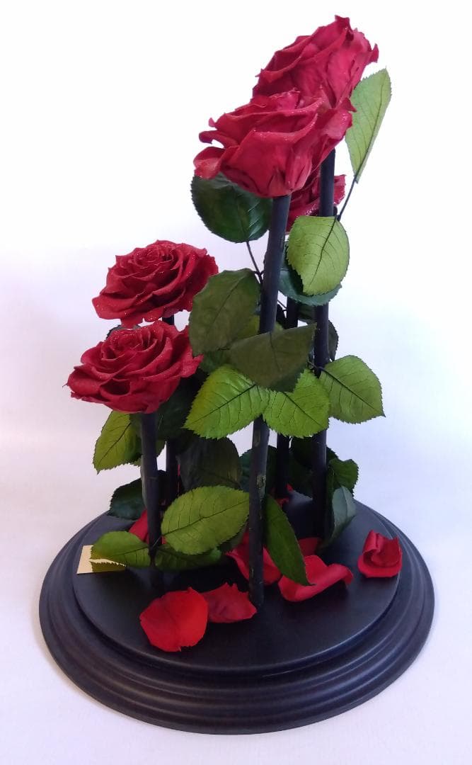 ROSE GALLERY 銀座 プリザーブドローズ(5本立ち) ドームケース付き