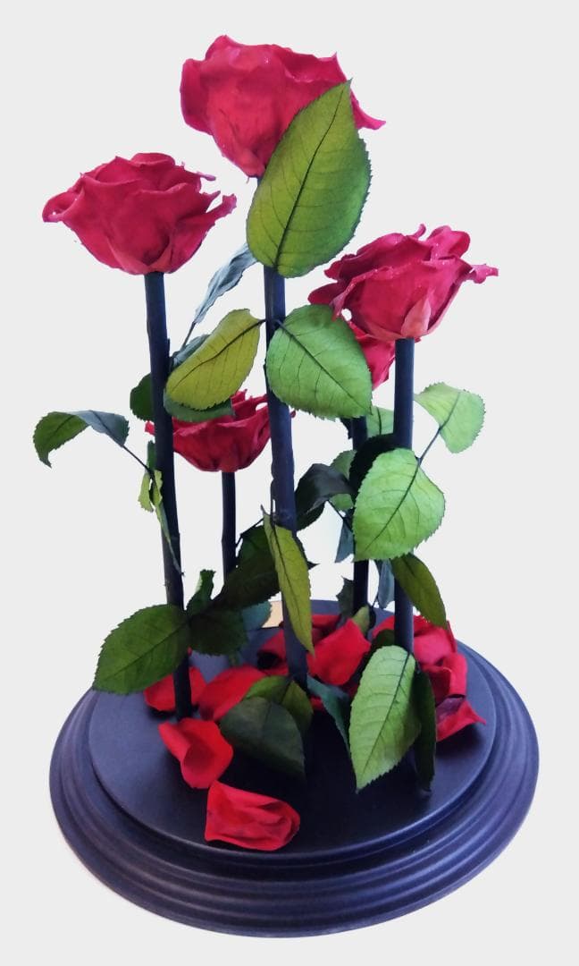 ROSE GALLERY 銀座 プリザーブドローズ(5本立ち) ドームケース付き