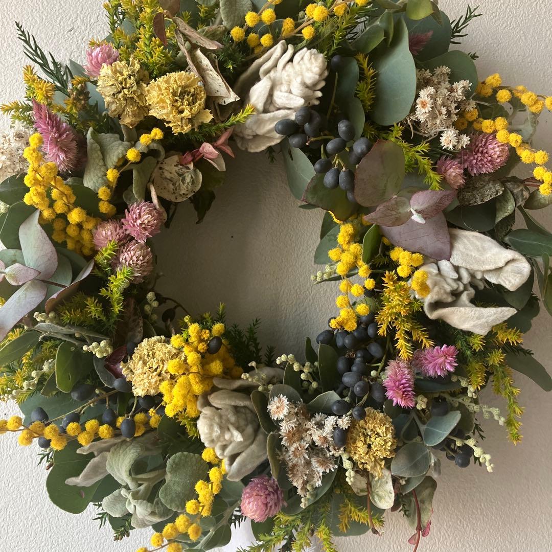 ミランドール産ミモザとピンク千日紅のリース　ラムズイヤー　ユーカリ　春待ち