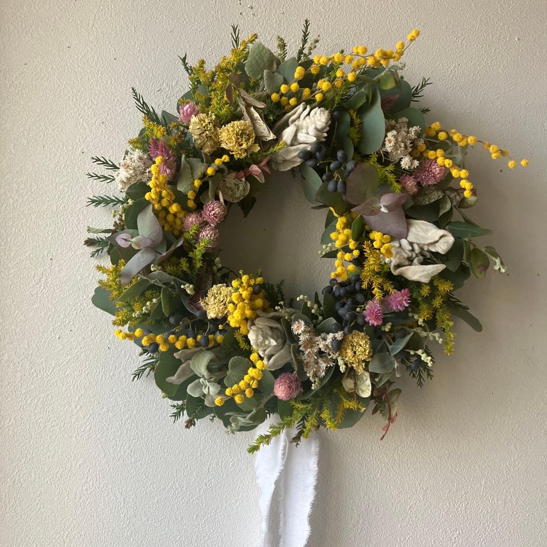 ミランドール産ミモザとピンク千日紅のリース　ラムズイヤー　ユーカリ　春待ち