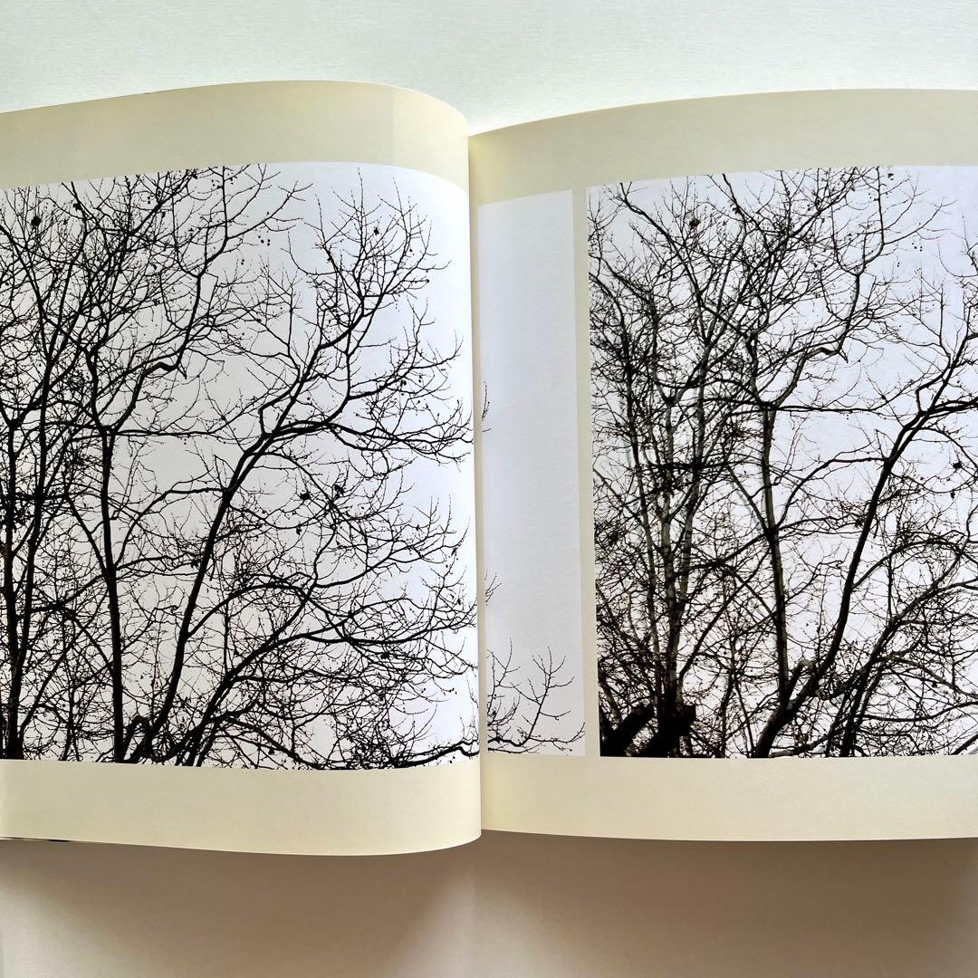 Uta Barth 写真集 White Blind (Bright Red)