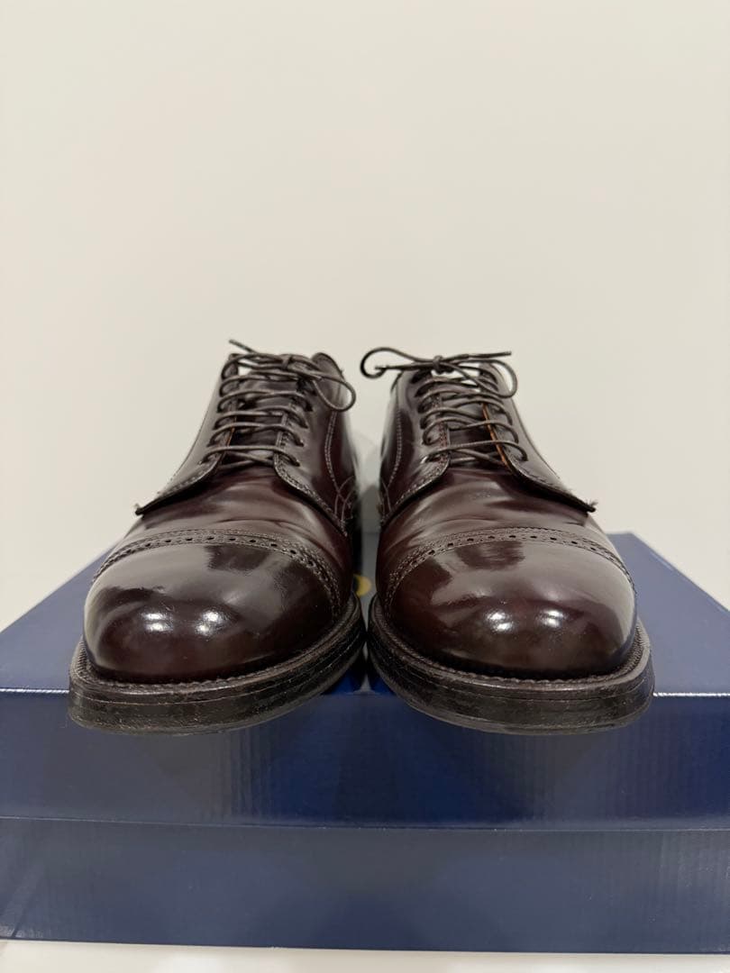 Aldenパンチドキャップトゥ 8.5D