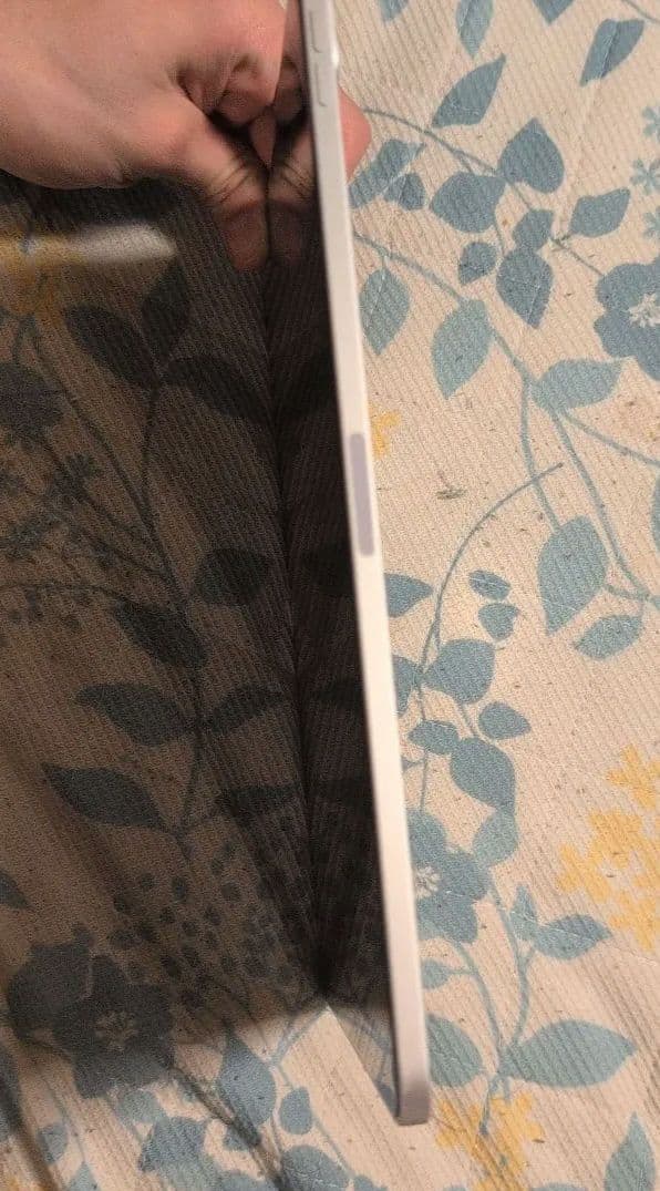 a*1様 美品iPad Pro　m1 第三世代256ギガ+ApplePencil