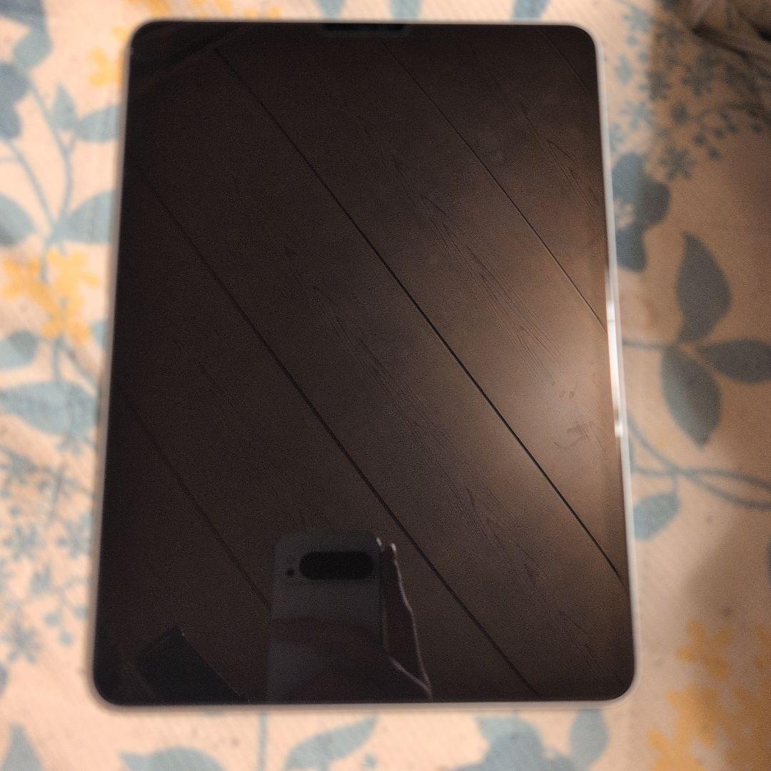 a*1様 美品iPad Pro　m1 第三世代256ギガ+ApplePencil