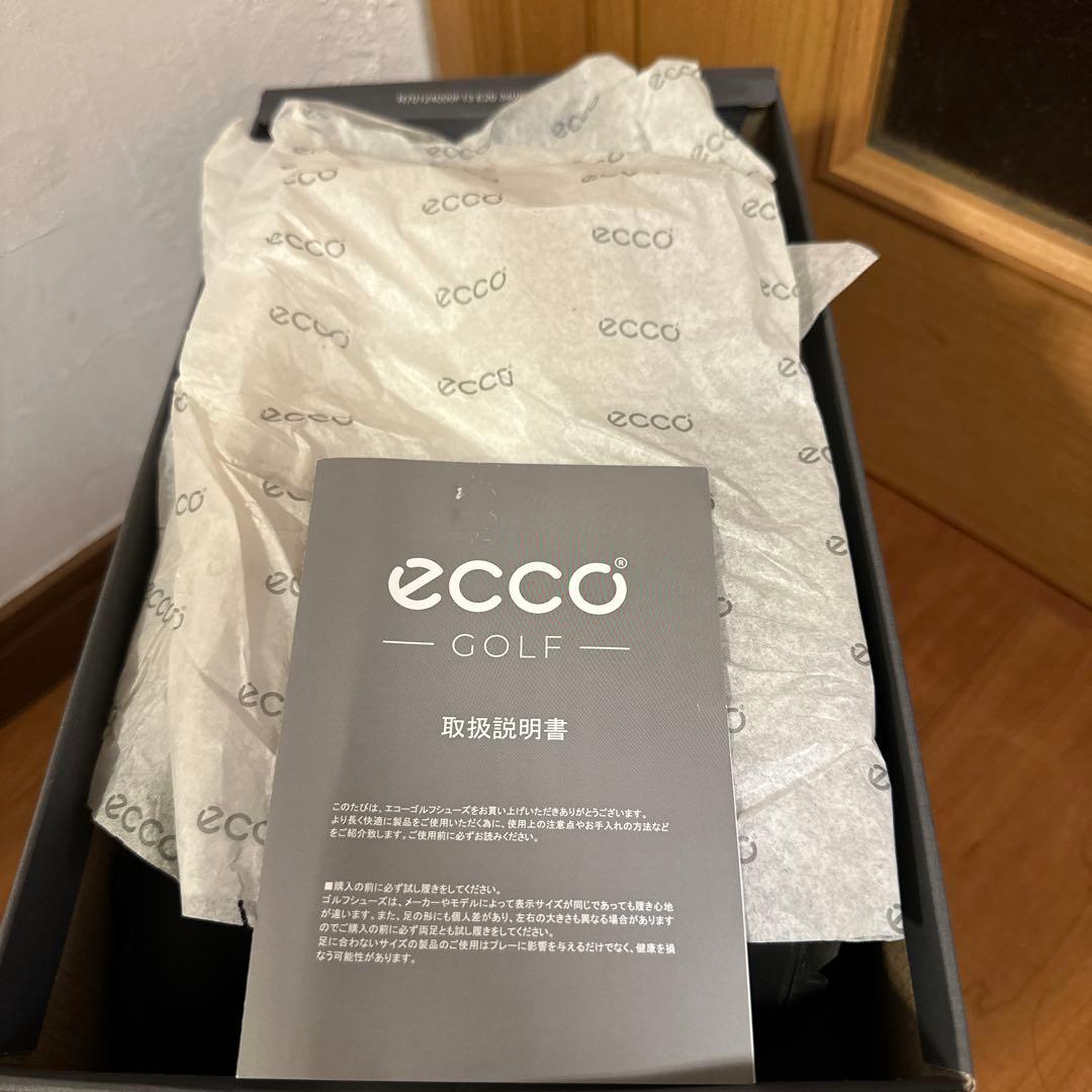 値下げ！エコー BIOM HYBRID ecco EU45 正規品