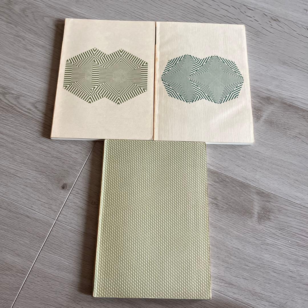 代ゼミ 山本の代数幾何 基礎解析上級 安田の微分積分中級 前田の中級物理 問題集