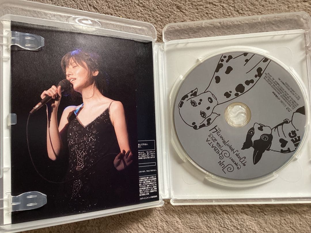 柴田淳/CONCERT TOUR 2013 月夜PARTY vol.4