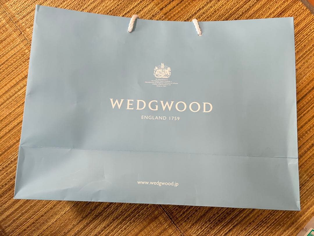 【新品未使用】 フェスティビティ ラズベリー ディナープレート