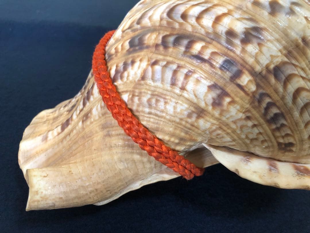 《レ》約41㎝ 修験道法螺貝 紐付 山伏 ほら貝 貝笛 251118え3