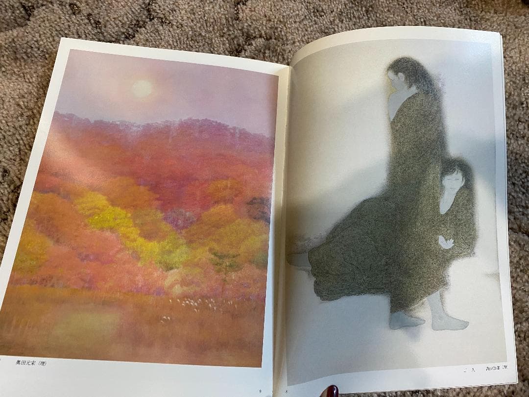 日展作品集38冊、日展アートガイド5冊、日展作品鑑賞の手引き2冊