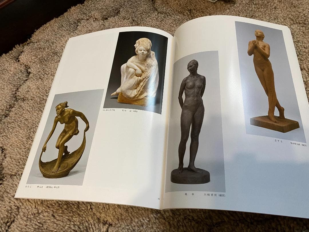 日展作品集38冊、日展アートガイド5冊、日展作品鑑賞の手引き2冊