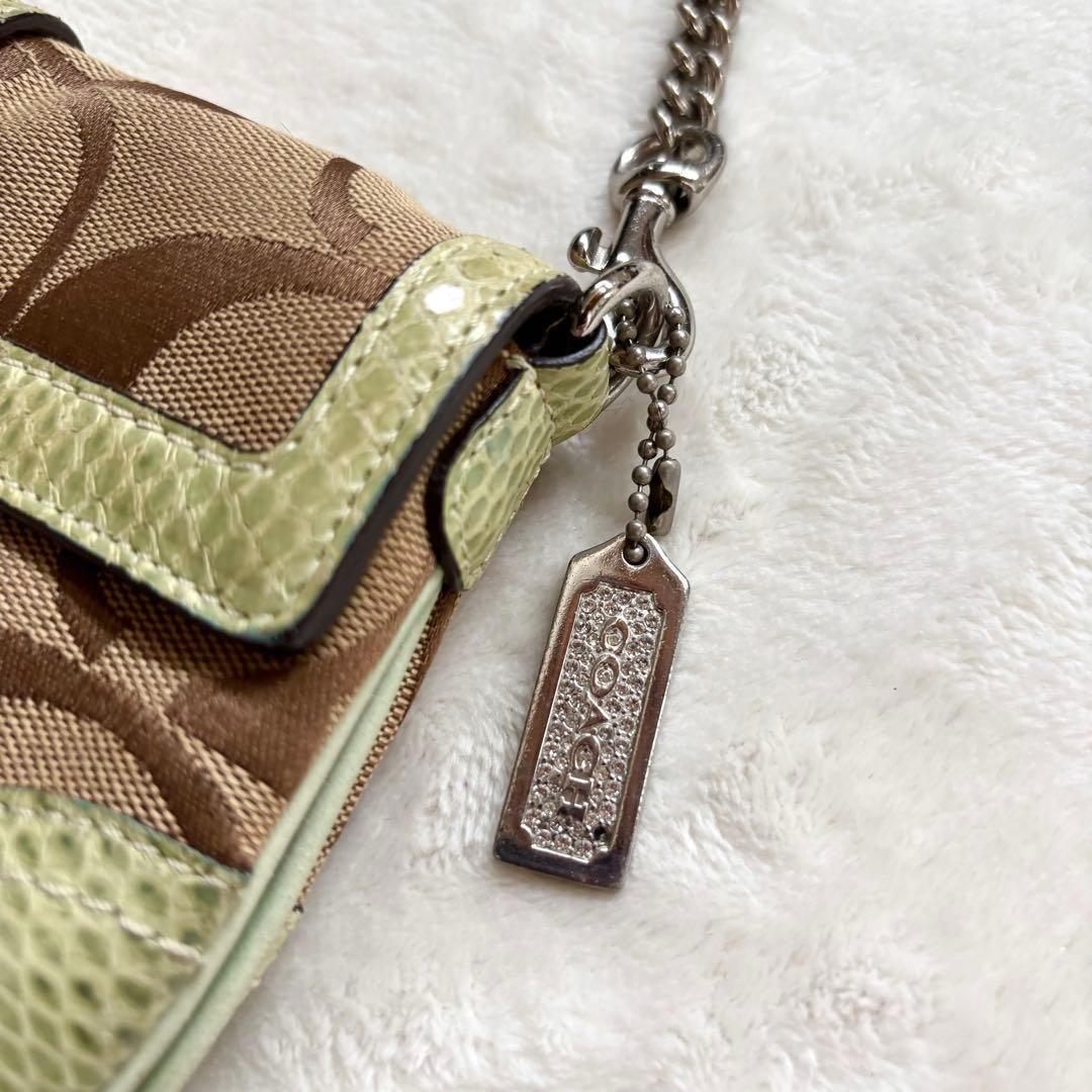 バッグ Coach Soho Python Stone Shoulder Bag