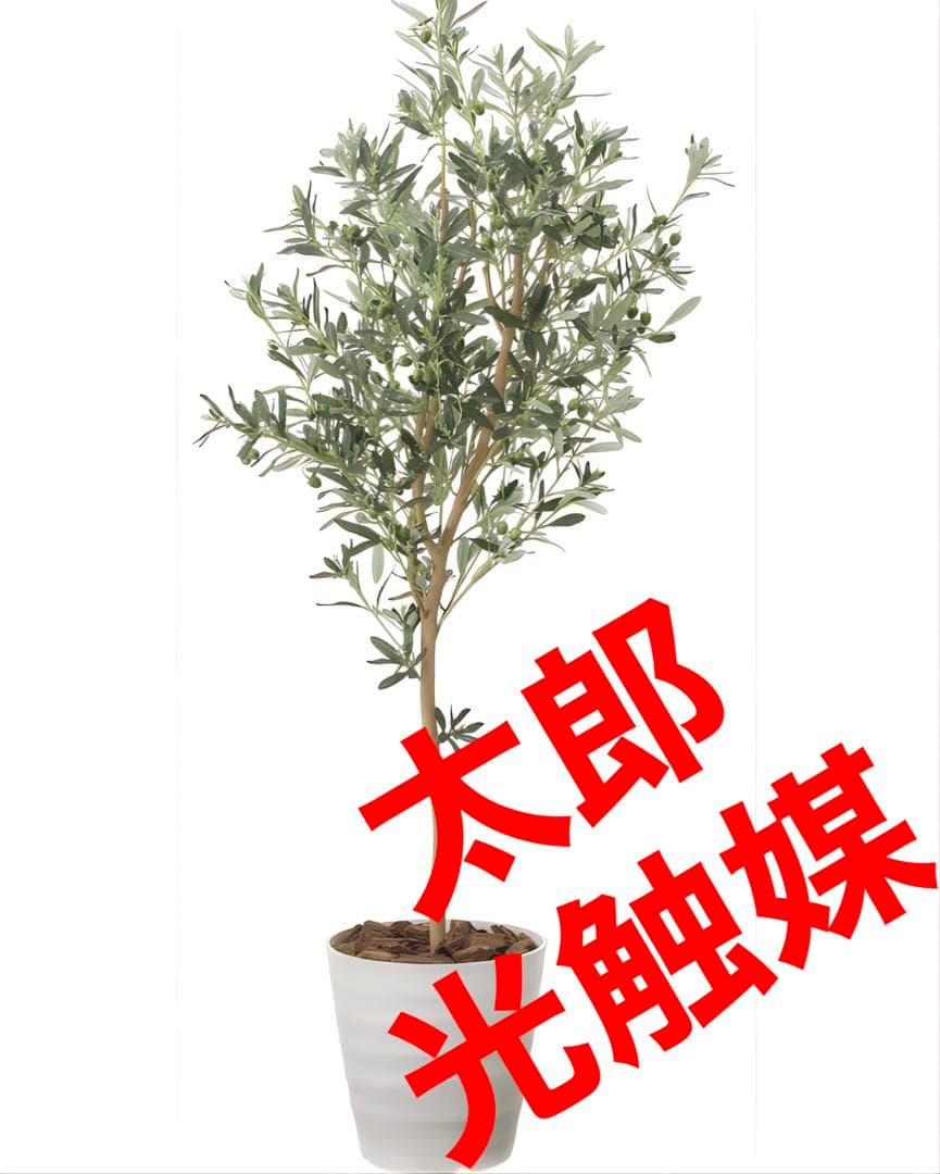 光触媒　人工観葉植物　ウォールグリーン　フェイクグリーン　オリーブ1.6