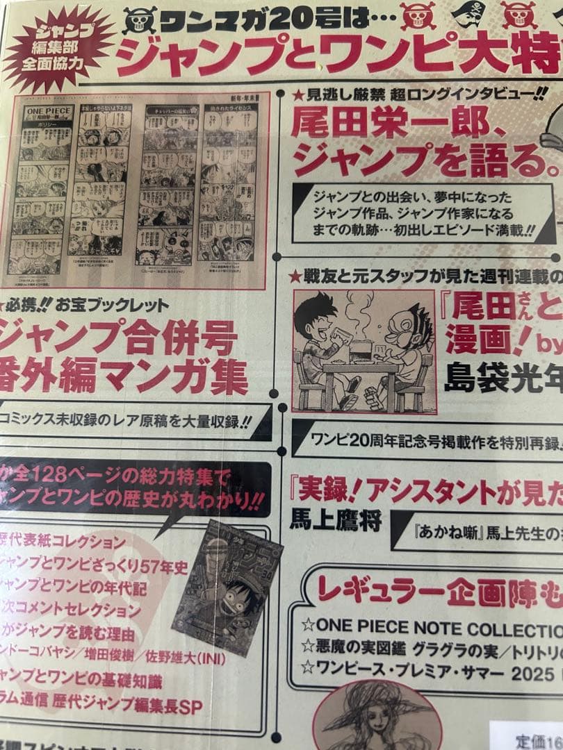 未開封　ワンピース　マガジン　プロもカード付き