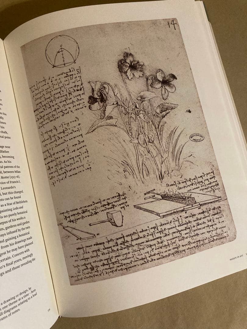 Botanical Sketchbooks 植物　スケッチ　絵画　洋書