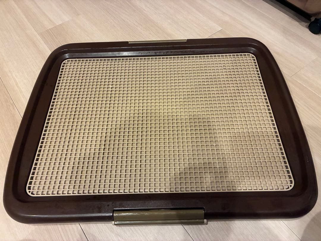 うさぎ　飼育セット