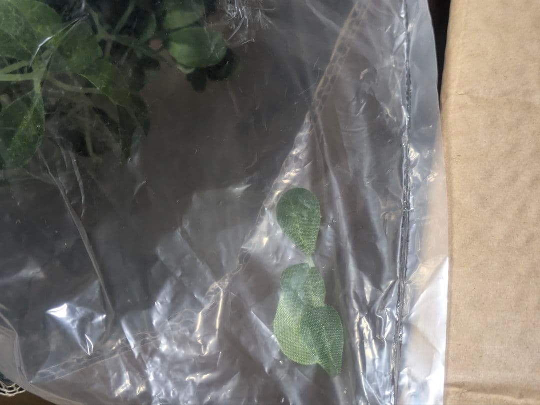 3 ミニフォレスティ ペンダントライト