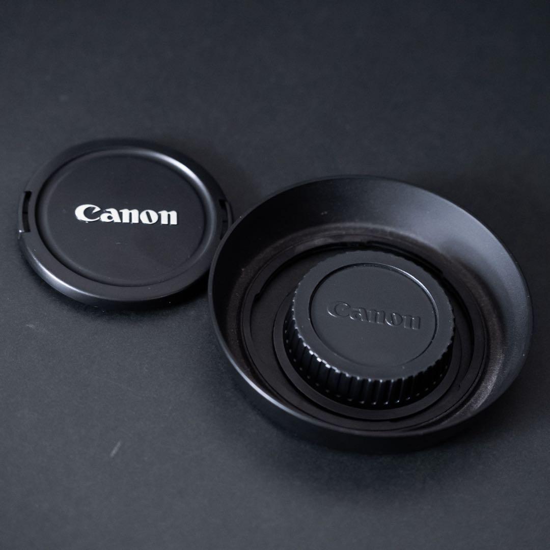 キヤノン Canon TS-E 24mm f3.5 L