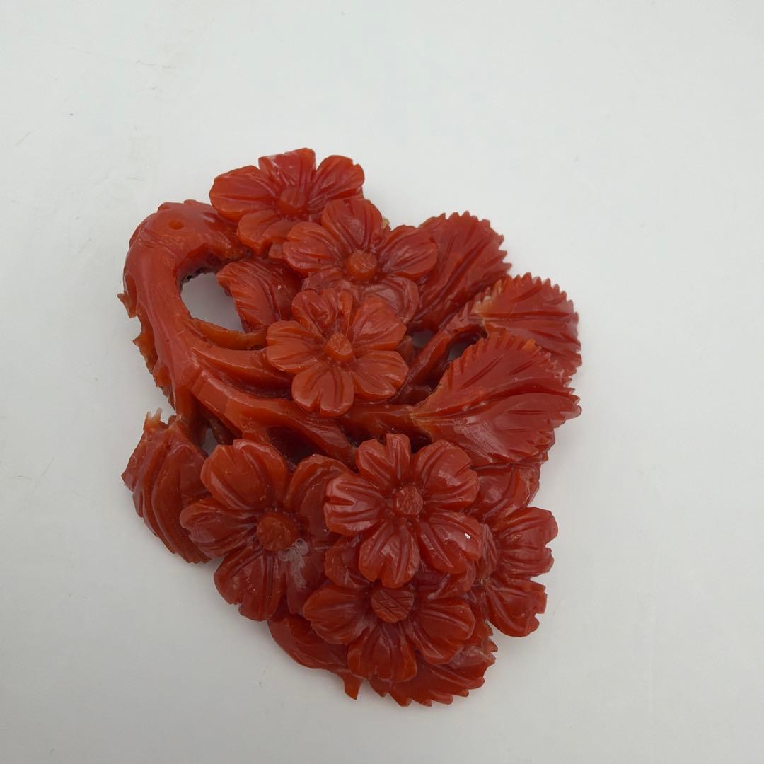 珊瑚 アンティーク 赤珊瑚　Y