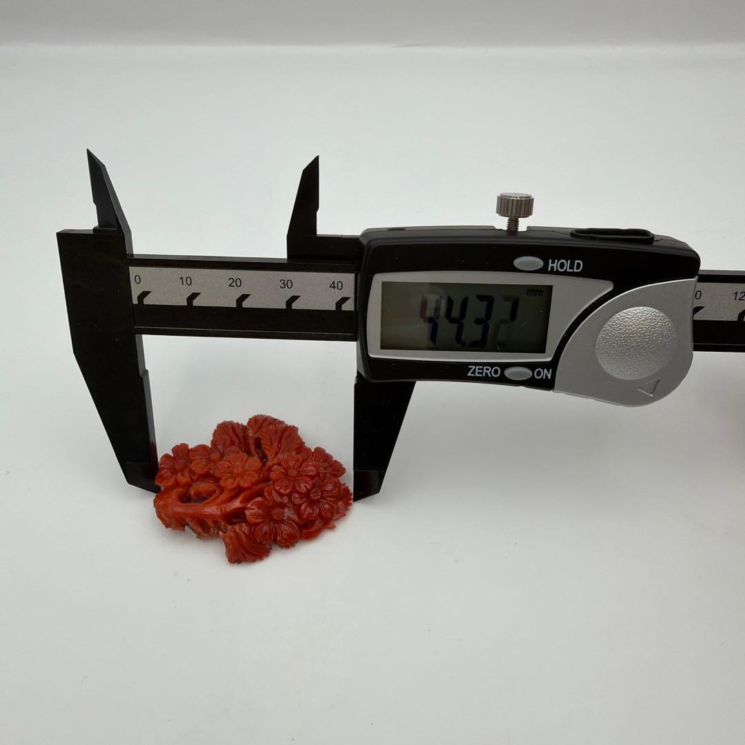 珊瑚 アンティーク 赤珊瑚　Y