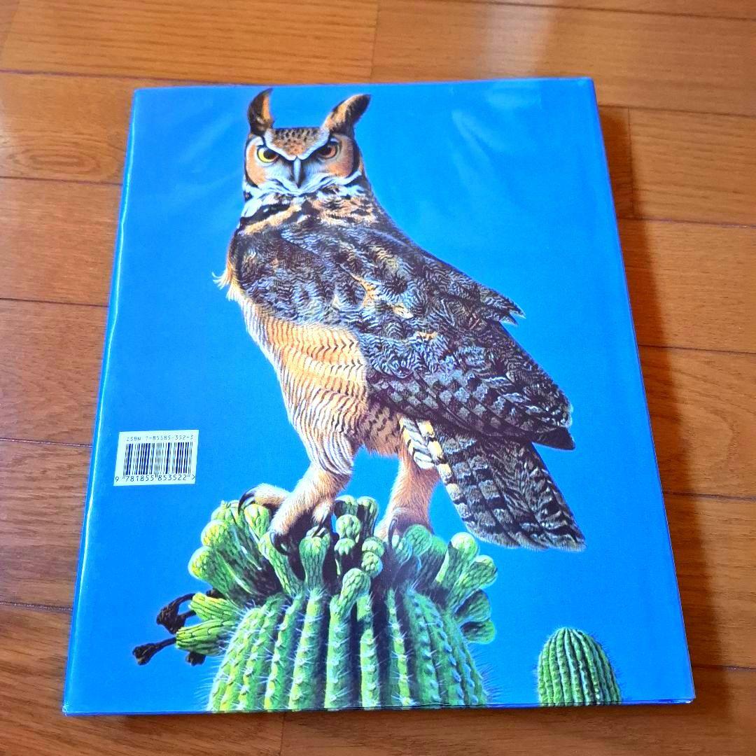 Owls of the World - Rob Hume世界のフクロウ図鑑　洋書