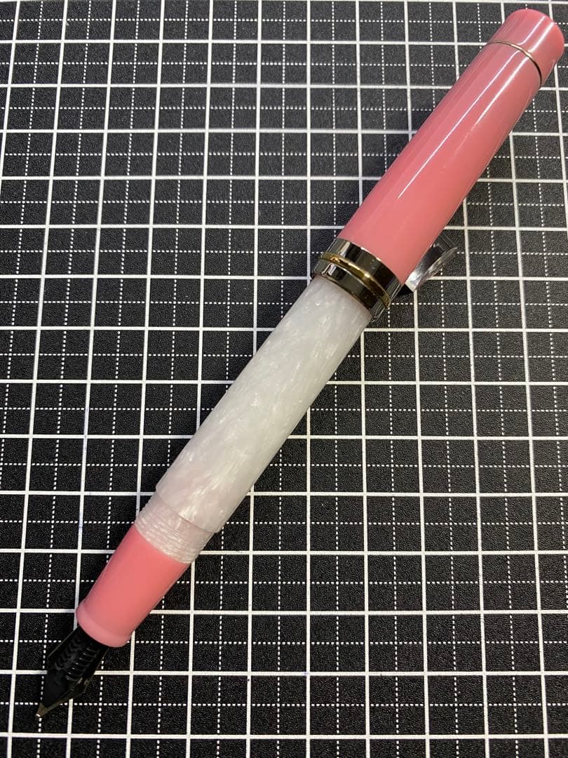DELTA Vintage VOLONTA 万年筆　字幅F
