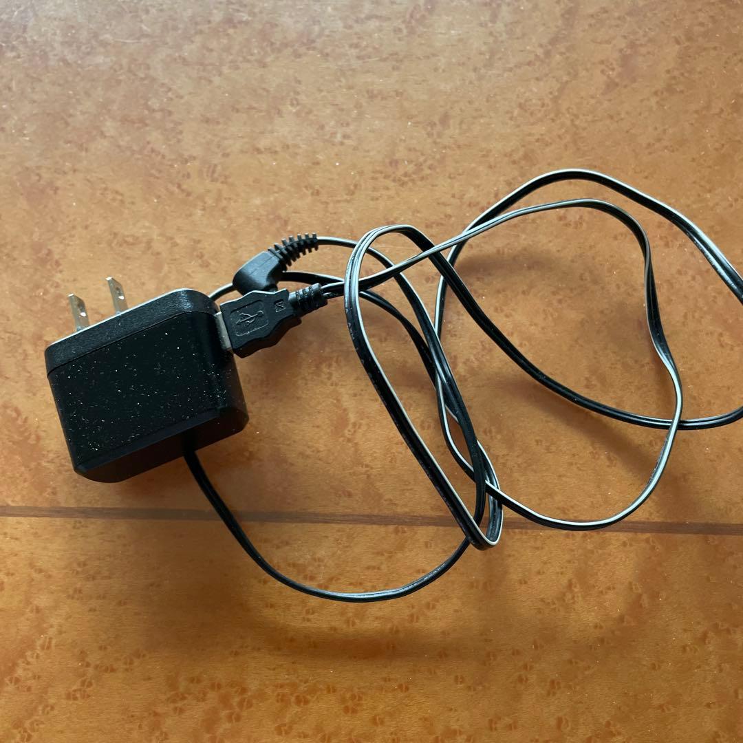 Panasonic ワイヤレスイヤホン グレー 充電ケース