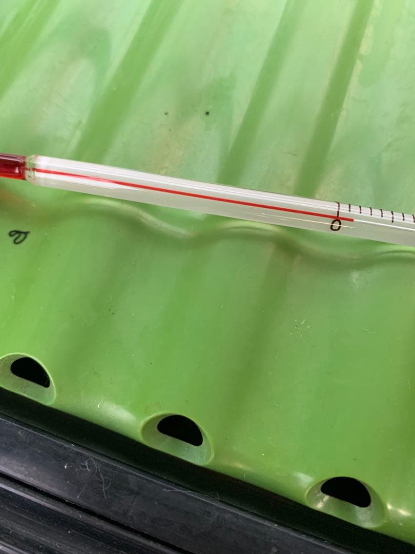 ホシザキ　ネタケース　動作品　恒温高湿　HOSHIZAKI　中古　業務用　魚