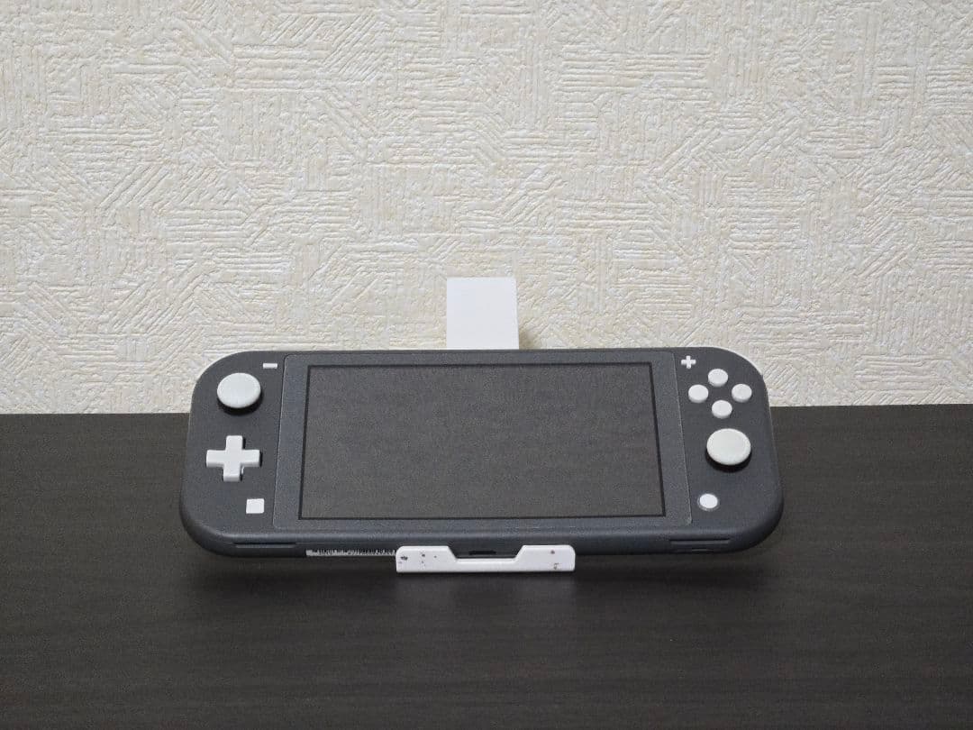 Nintendo Switch Lite メモリーカード ACアダプター