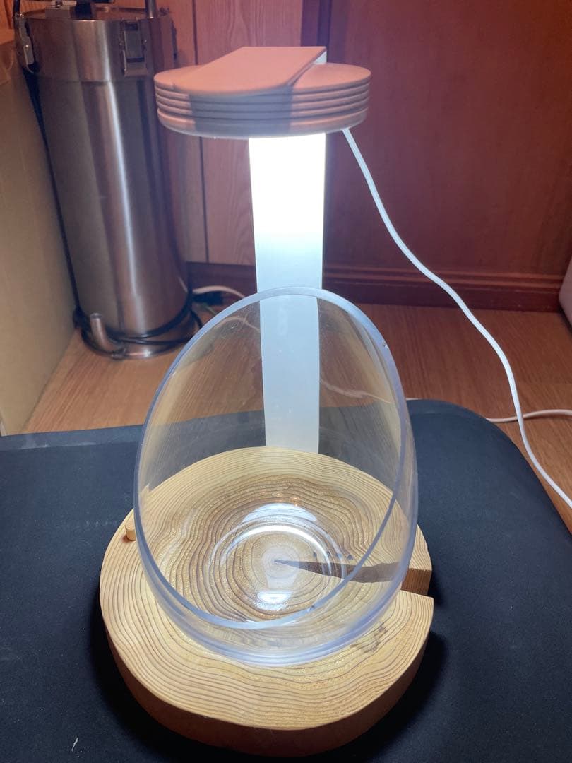 dooa スタンドとdo!aquaの水槽