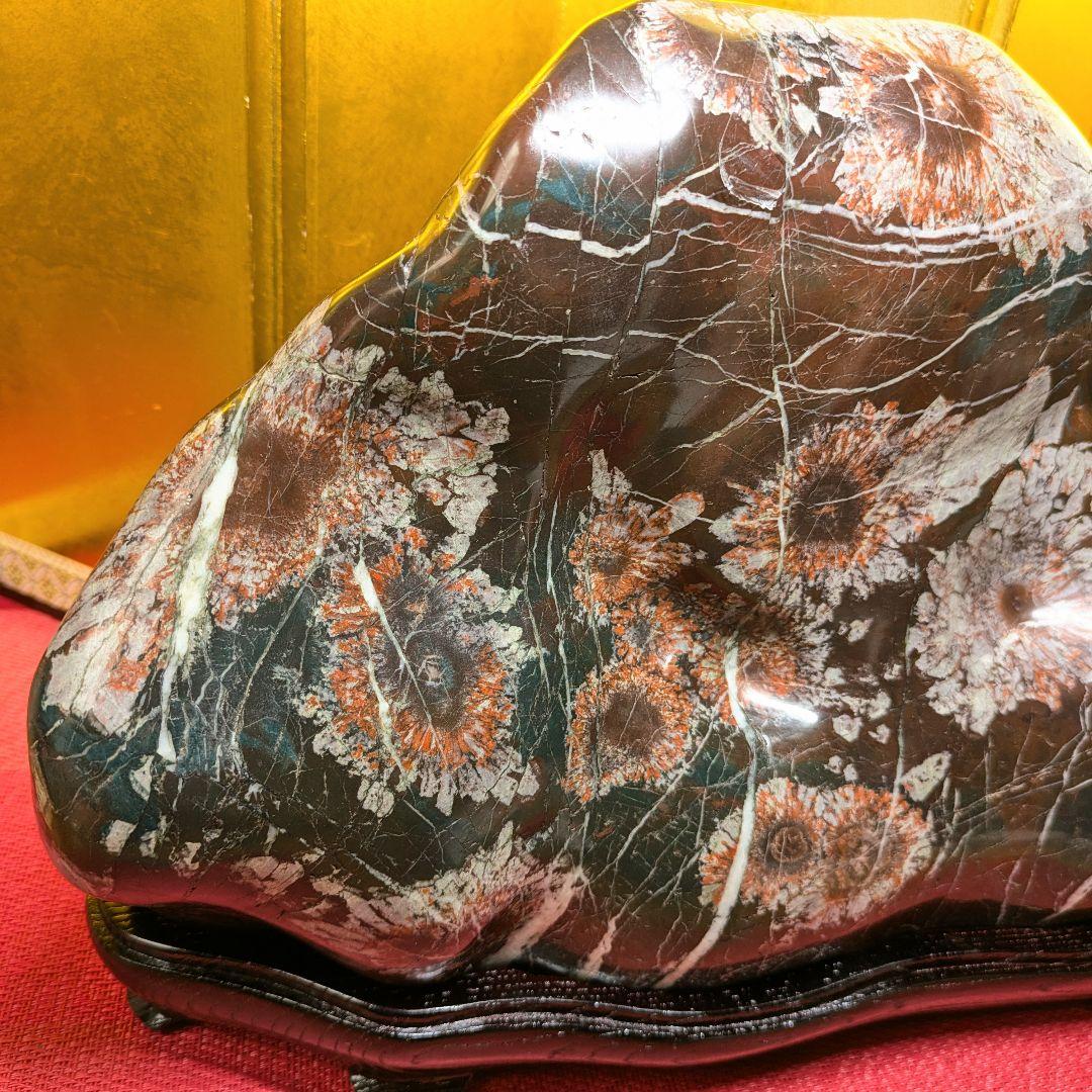 菊花石 岐阜県根尾谷産9.8㌔ 鑑賞石 観賞石 水石 盆石 天然石 置物