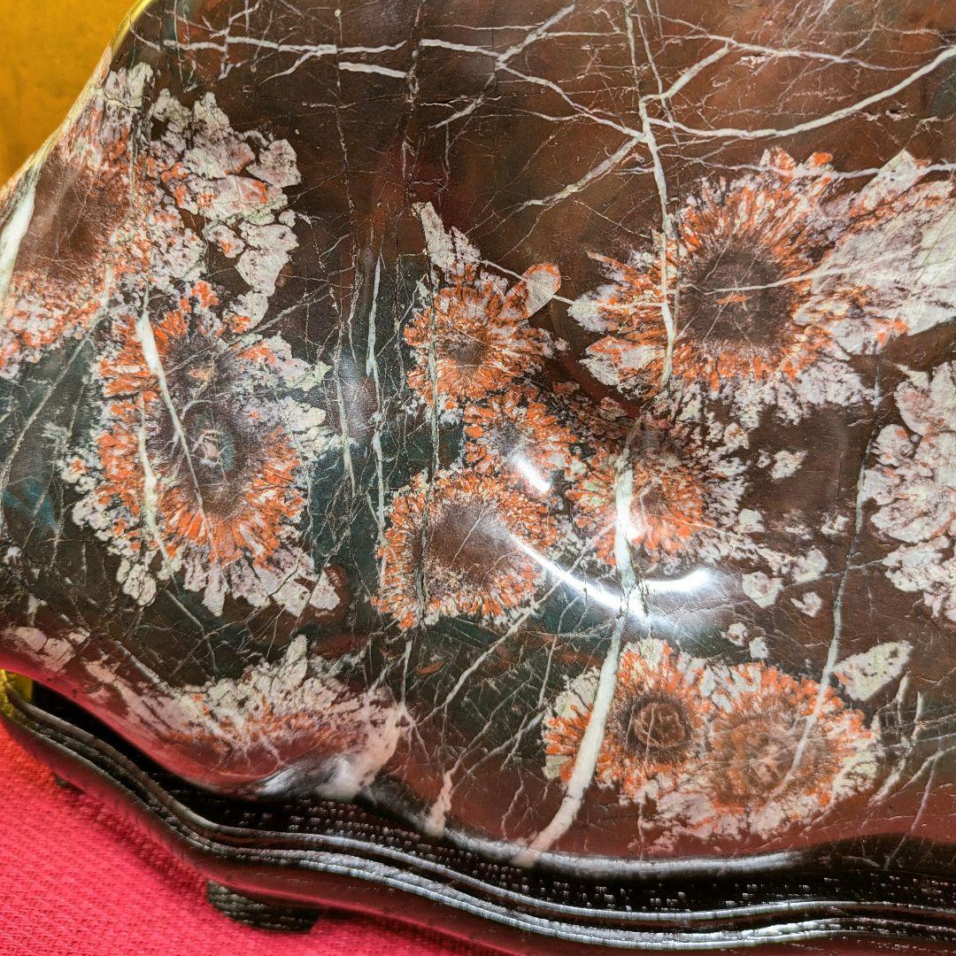 菊花石 岐阜県根尾谷産9.8㌔ 鑑賞石 観賞石 水石 盆石 天然石 置物