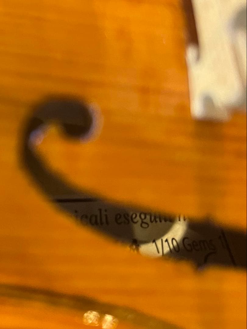 GLIGA Gems1 グリガ　バイオリン1/10 2019年度製