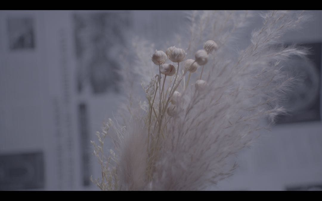 レンズ(単焦点) super takumar 24mm f3.5 m42