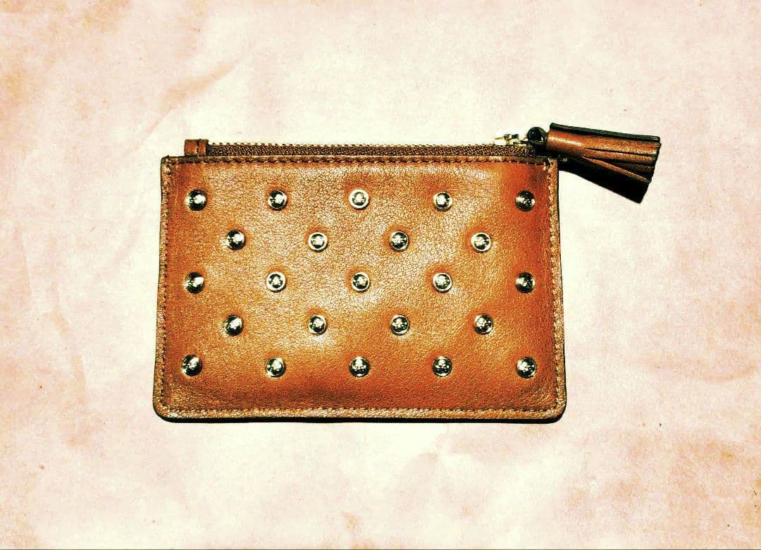 値下げ中！【未使用】アニヤハインドマーチ　ブラウン スタッズ　ケース