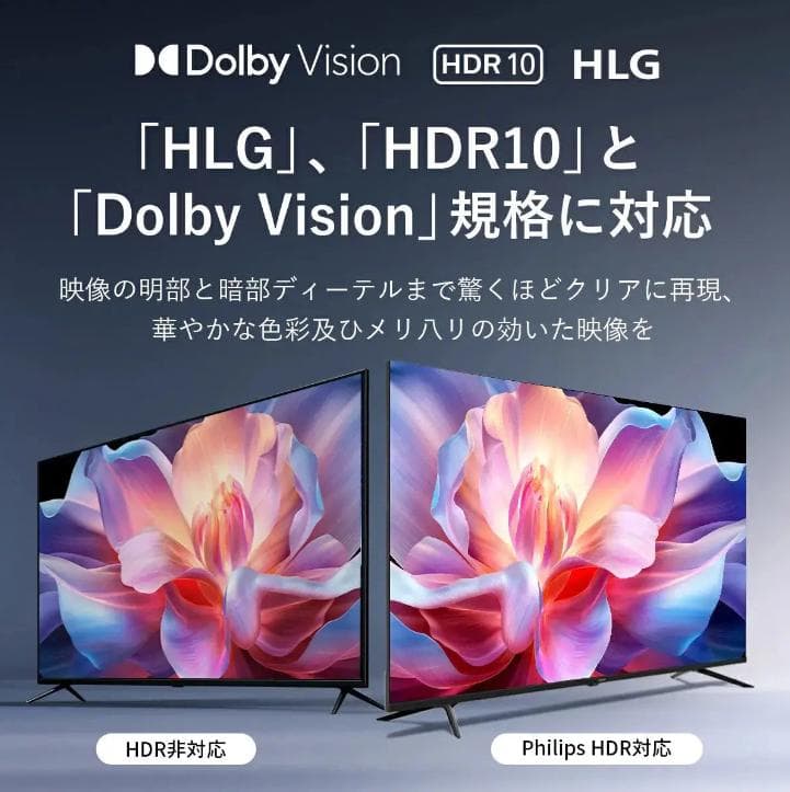 【過去最大割引！ 】PHILIPS チューナーレステレビ PUH7169 43型