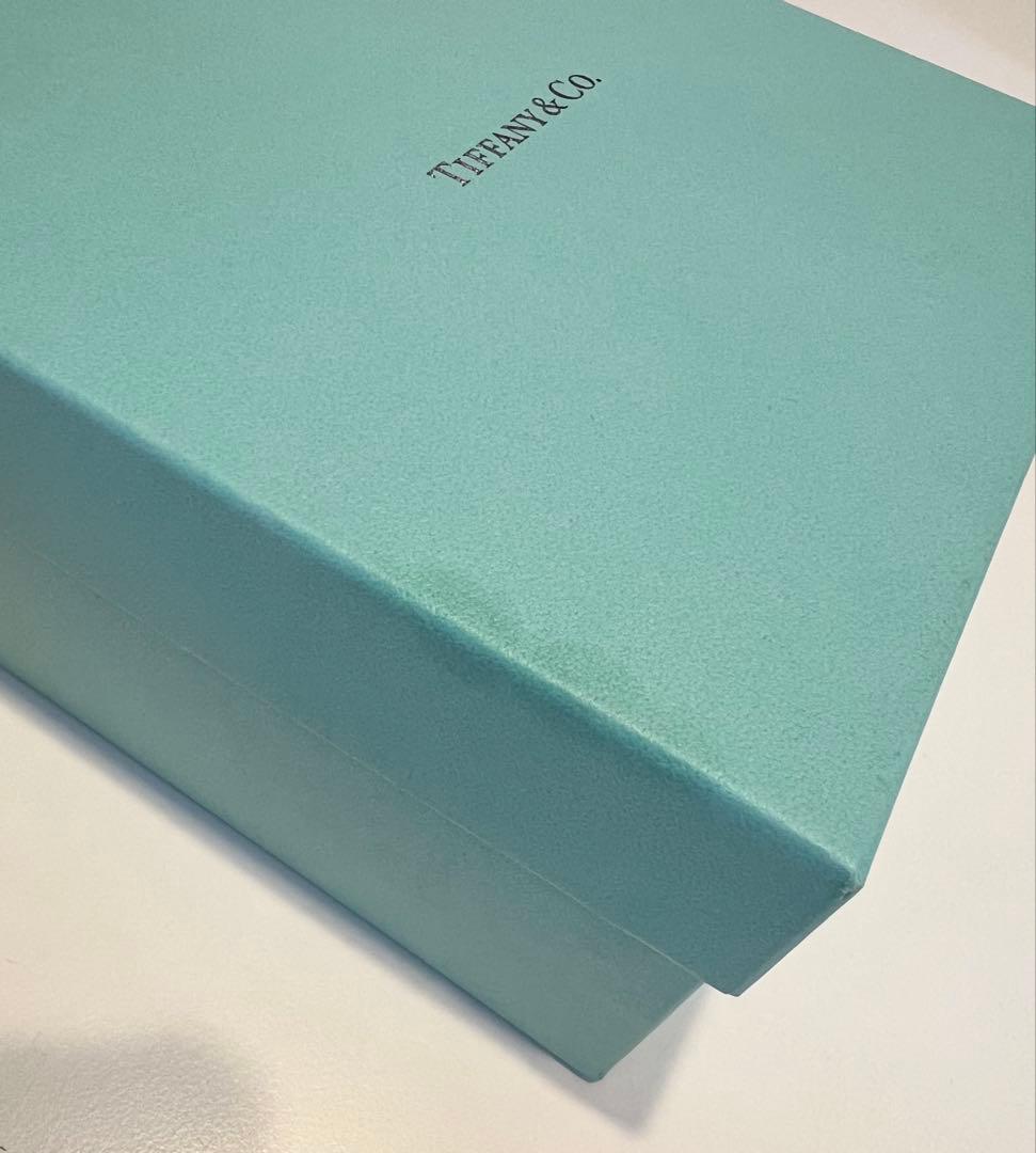 Tiffany & Co ティファニー ブルーボックスボウル2個セット NO.2