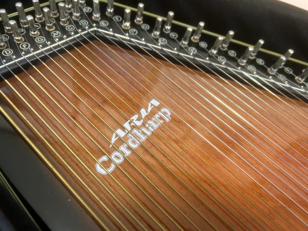 良品 Aria Cordiharp ハープ本体　ケース付き