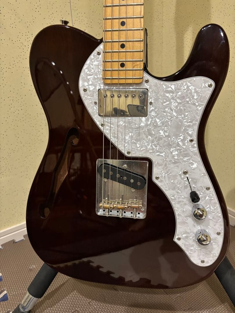 FGNフジゲンテレキャスターシンライン