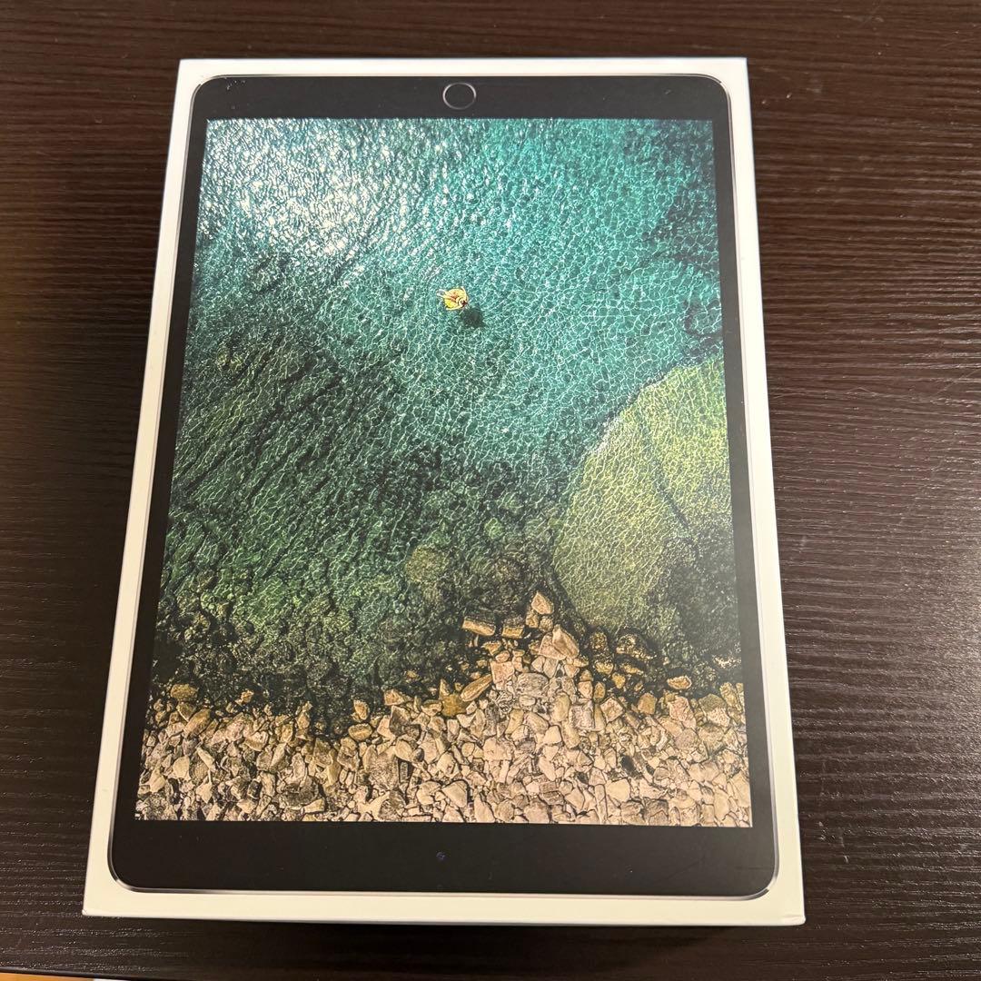 iPad Pro （10.5インチ） Wi-Fi+Cellular 256GB