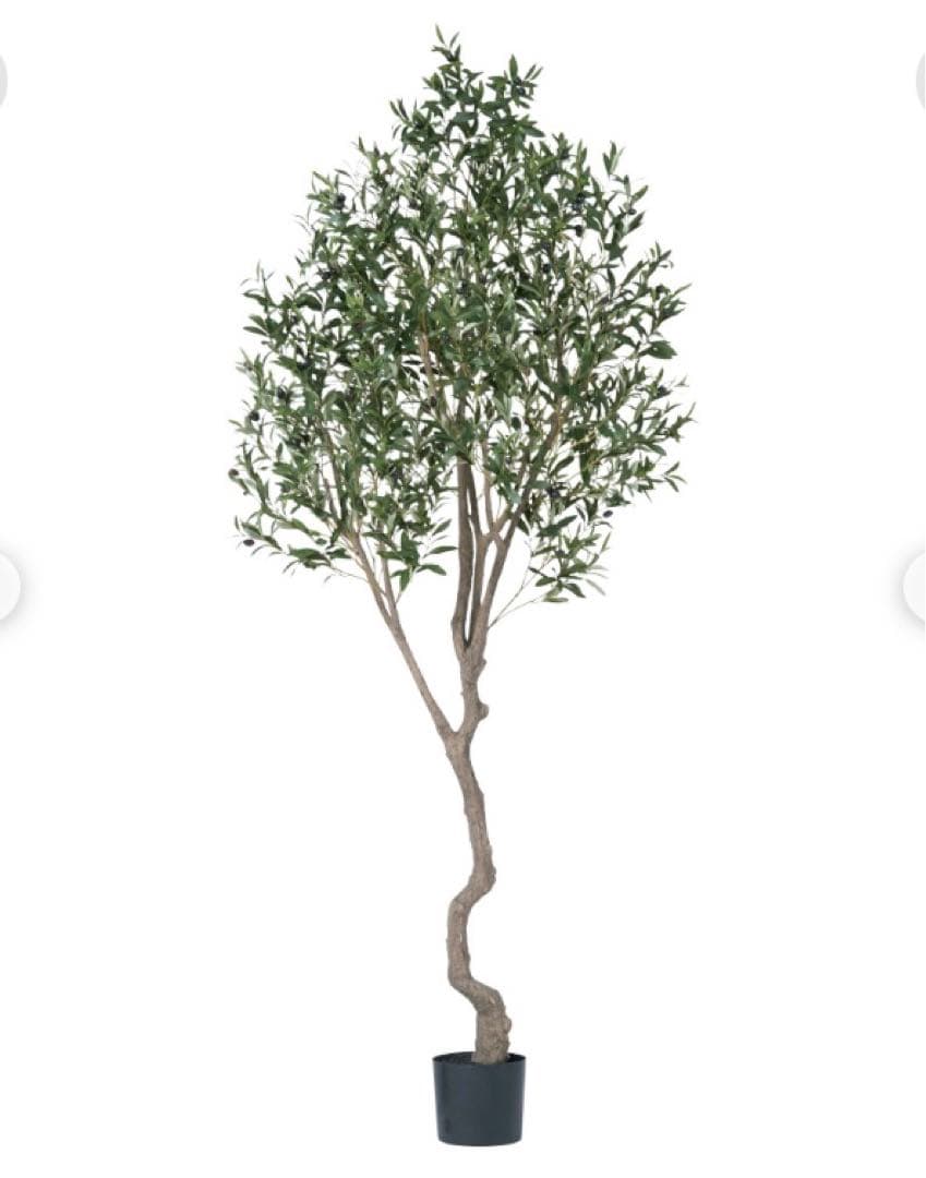 光触媒　人工観葉植物　ウォールグリーン　フェイクグリーン　オリーブ240