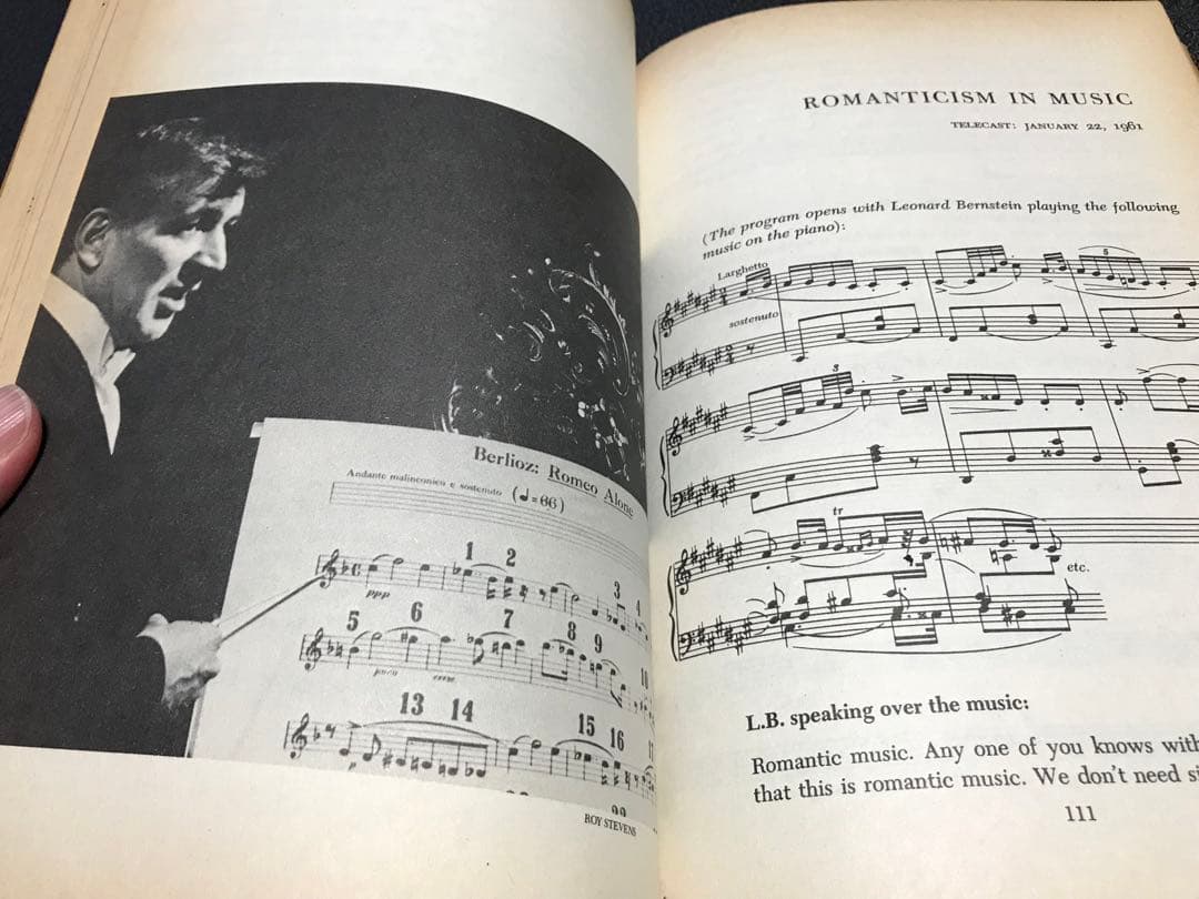 洋書LEONARD BERNSTEIN THE INFINITE VARIETY