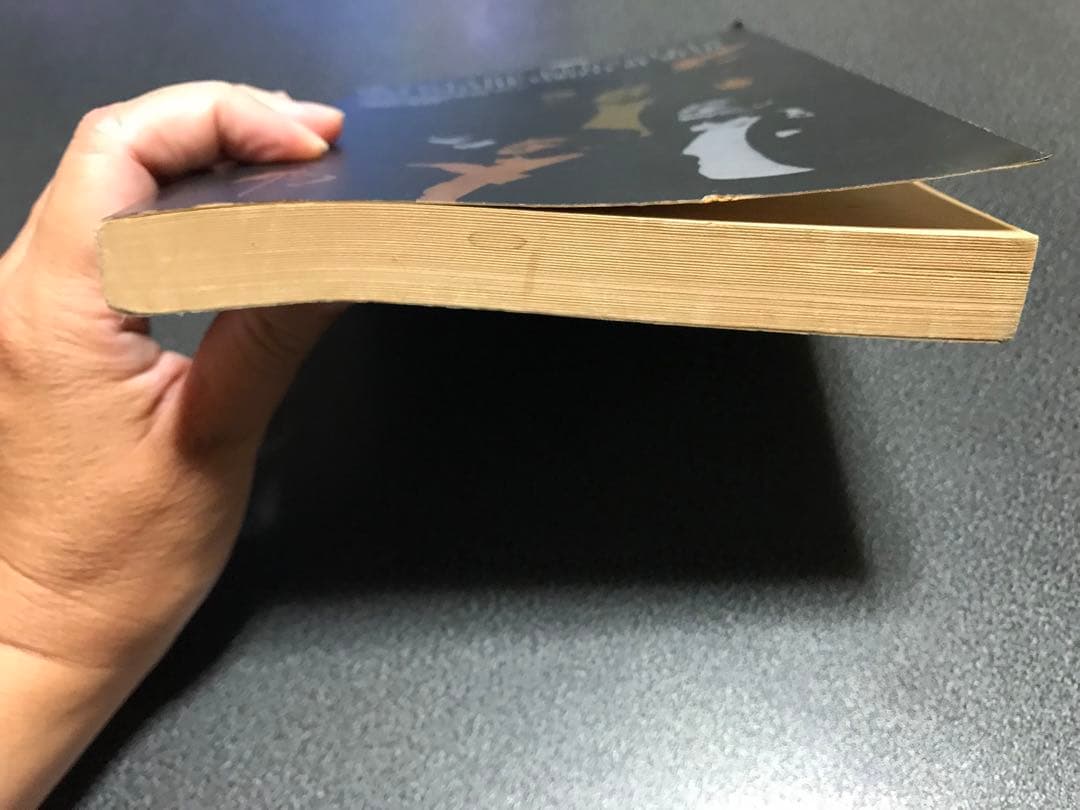 洋書LEONARD BERNSTEIN THE INFINITE VARIETY