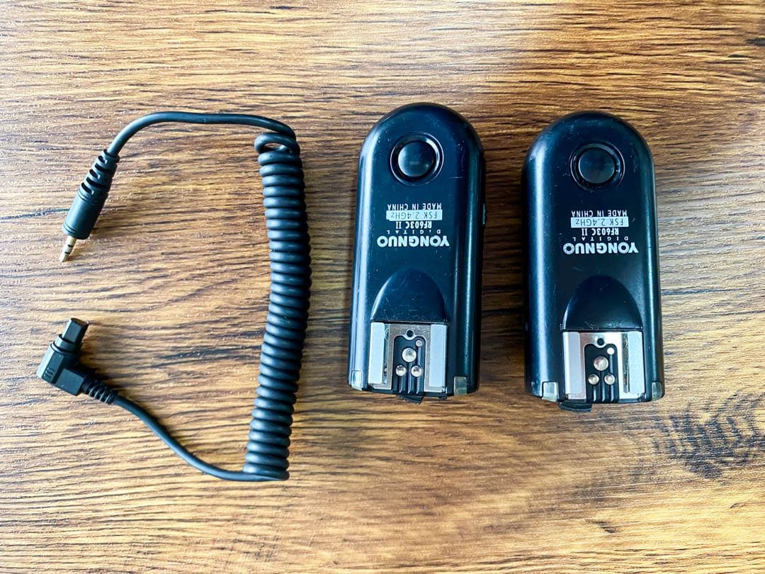 けやん　Canon EOS-1DX Mark II デジタル一眼レフカメラ