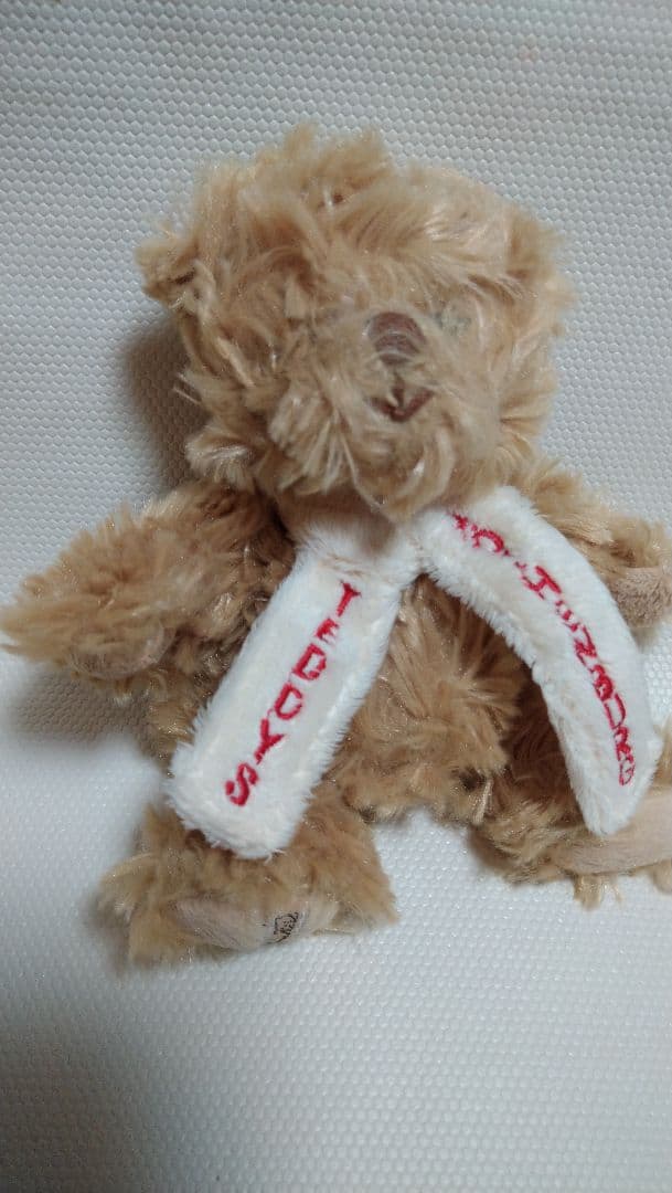 Teddys Rothenburg テディベア　BUkOWSKi ぬいぐるみ